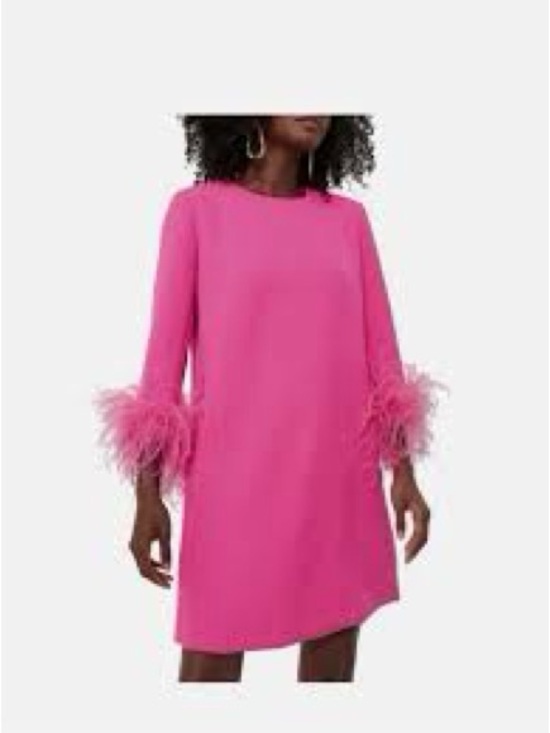 Tuckernuck Dresses & Skirts - Tuckernuck Hot Pink Feather Jamie Dress Cocktail Party Small